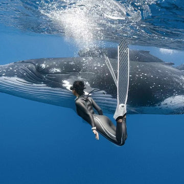 Free Diving-Carbon fiber Freediving Fins-long